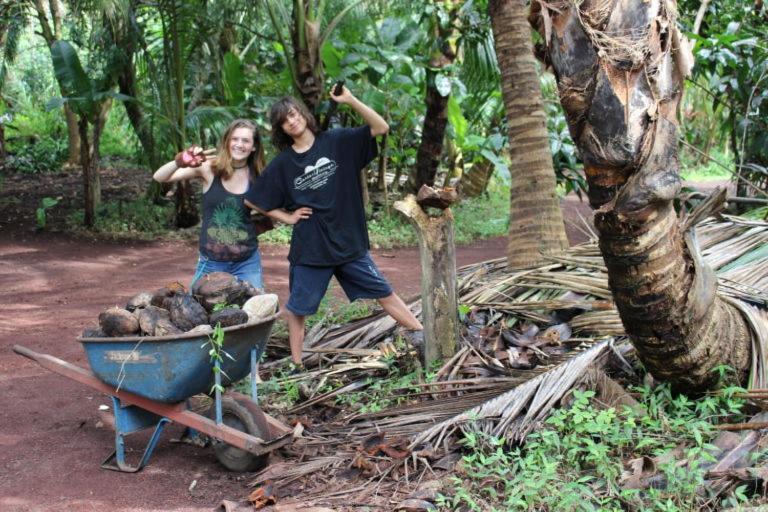 Paradise Eco Village Pahoa Екстериор снимка