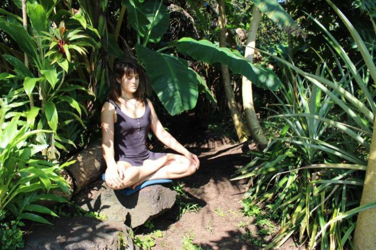 Paradise Eco Village Pahoa Екстериор снимка