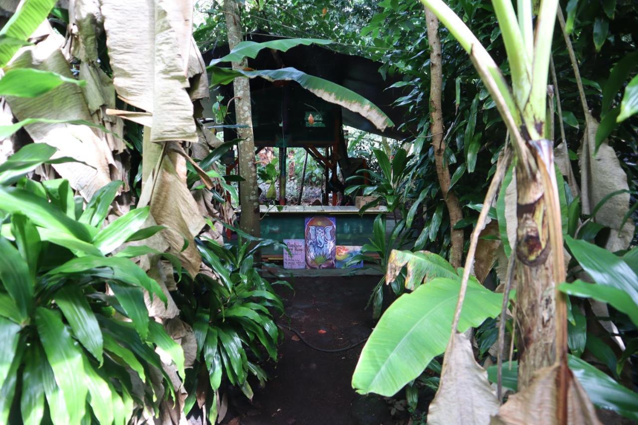 Paradise Eco Village Pahoa Екстериор снимка