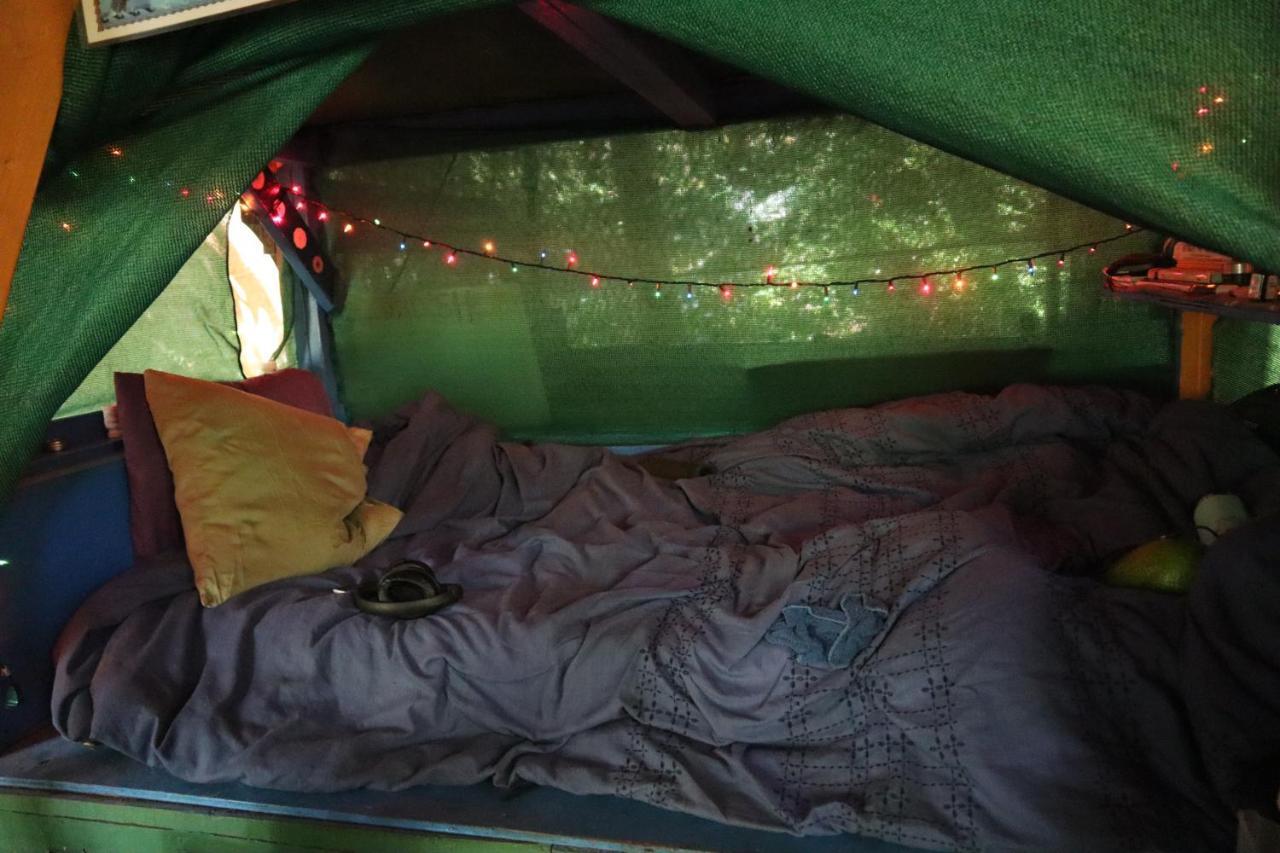 Paradise Eco Village Pahoa Екстериор снимка
