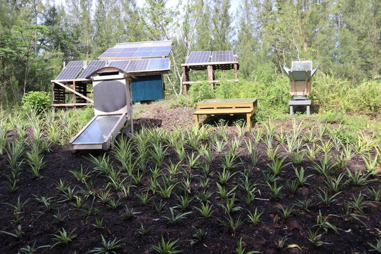 Paradise Eco Village Pahoa Екстериор снимка