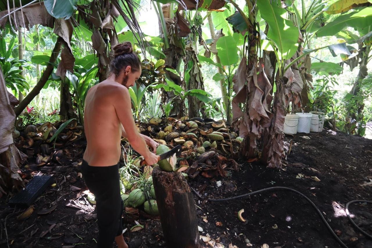 Paradise Eco Village Pahoa Екстериор снимка