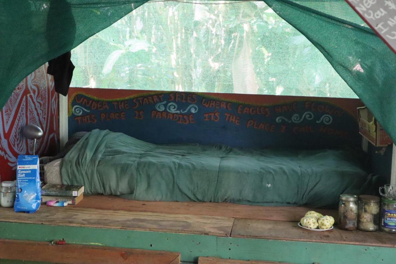 Paradise Eco Village Pahoa Екстериор снимка
