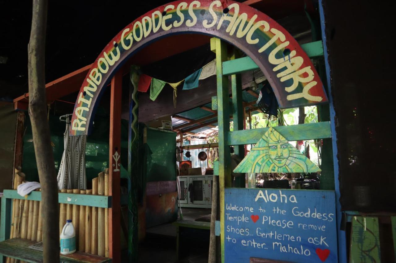 Paradise Eco Village Pahoa Екстериор снимка